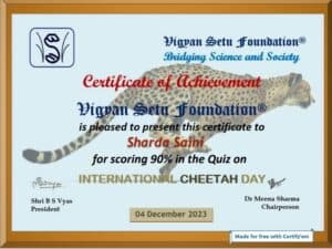 International Cheetah Day 2023 