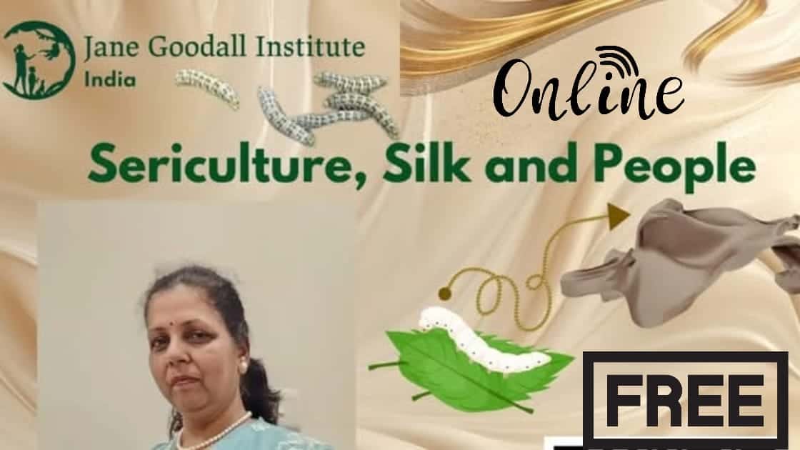 Free Webinar Sericulture, Silk and People